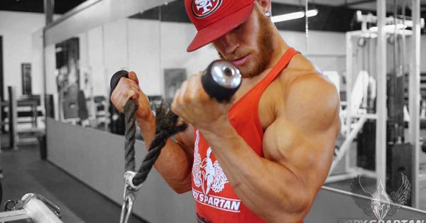 The Ultimate Biceps Workout Routine: Sculpt Strong and Defined Arms, by  David Larson